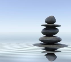 Mindfulness Training for Emotional Resilience (MTER)